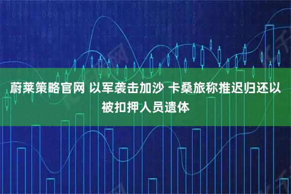蔚莱策略官网 以军袭击加沙 卡桑旅称推迟归还以被扣押人员遗体