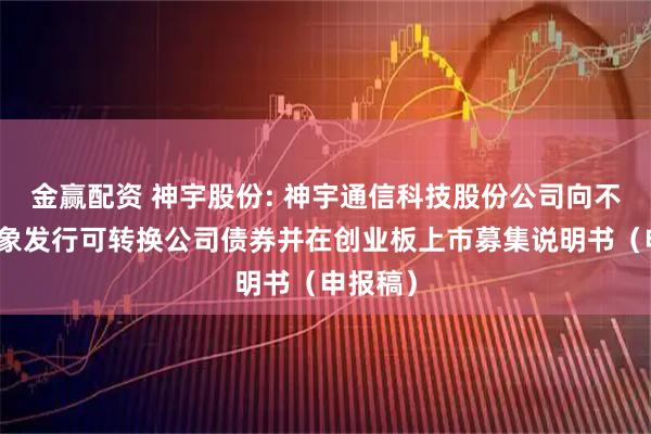金赢配资 神宇股份: 神宇通信科技股份公司向不特定对象发行可转换公司债券并在创业板上市募集说明书（申报稿）