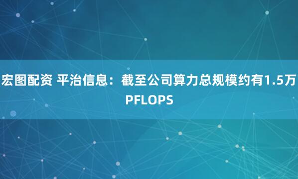 宏图配资 平治信息：截至公司算力总规模约有1.5万PFLOPS